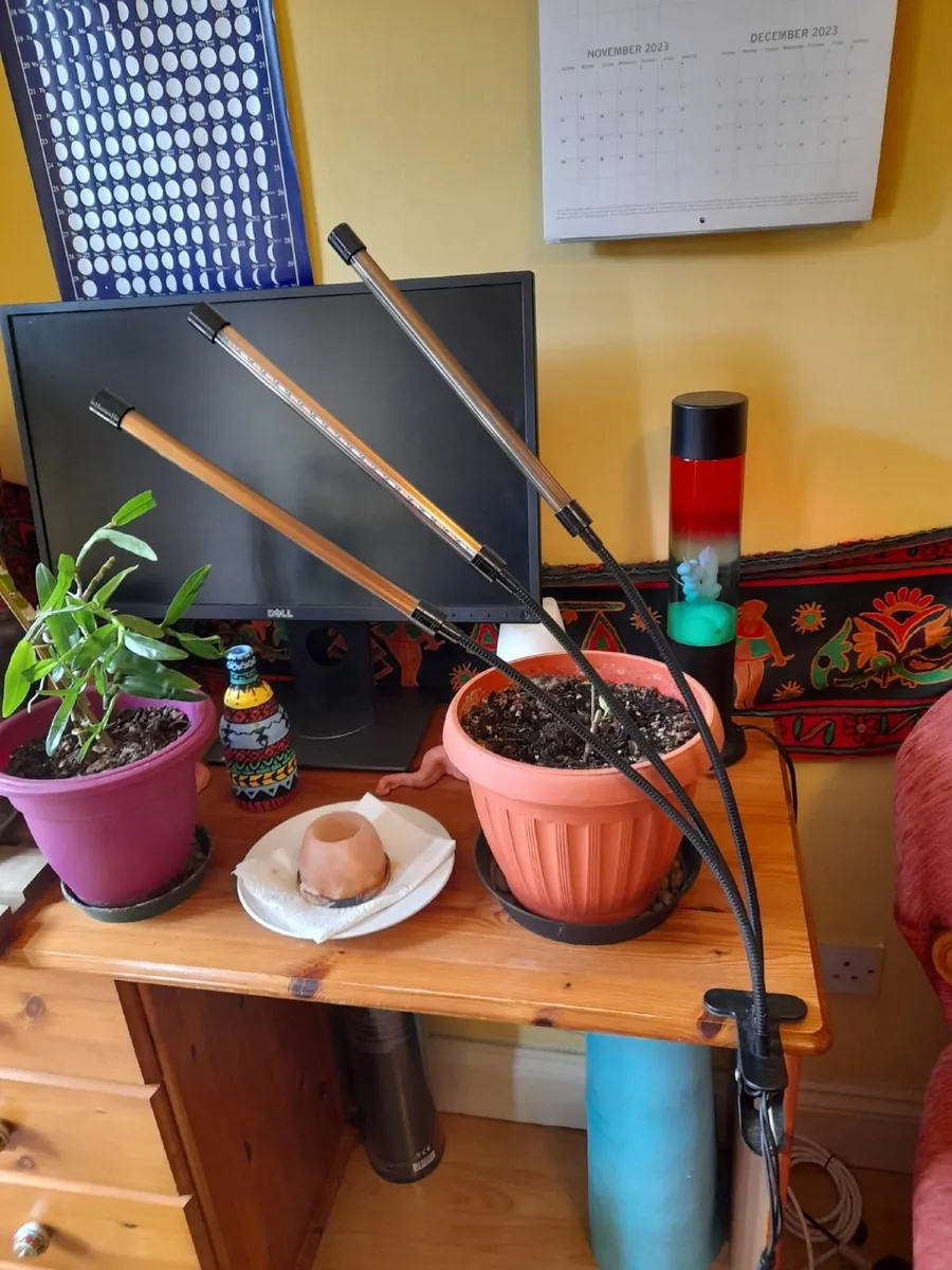 Grow Lights for Indoor Plants - Image 2