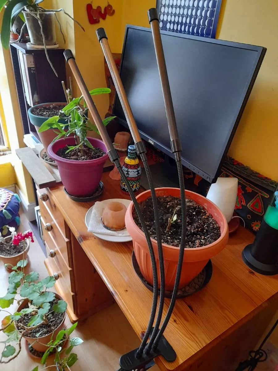 Grow Lights for Indoor Plants - Image 3