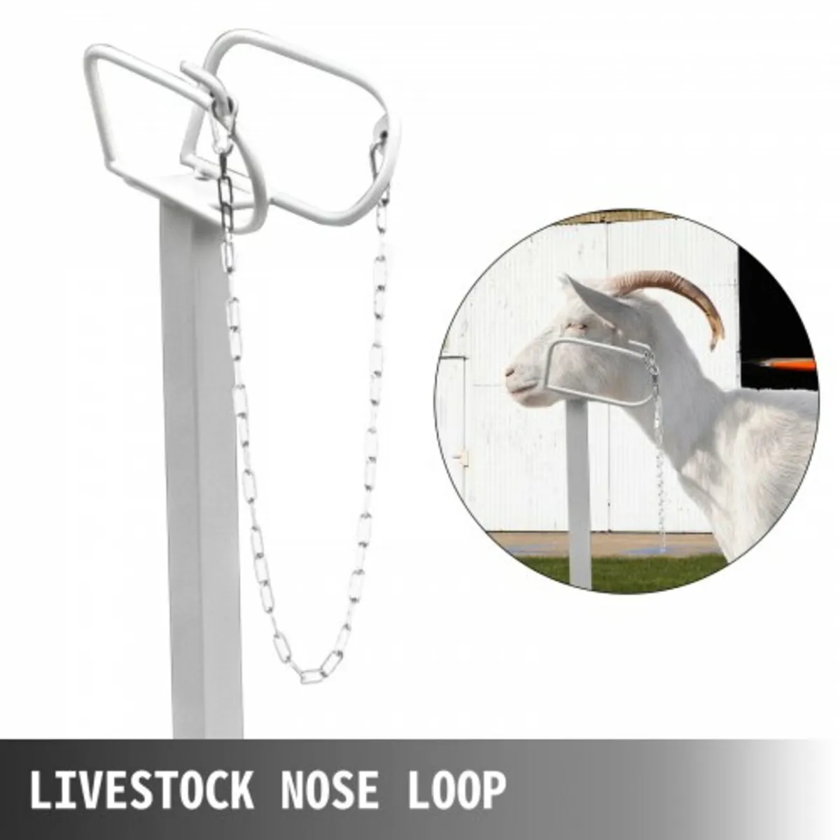 Livestock Stand 51x23 inches, Trimming Stand with - Image 3
