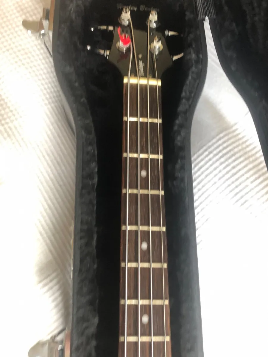 Customised Violin Bass plus Hard Case - Image 1