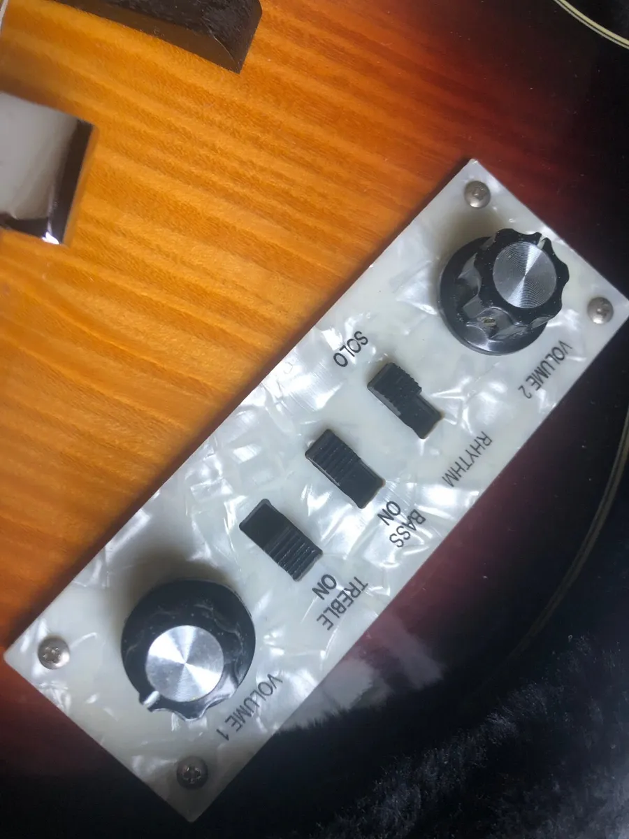 Customised Violin Bass plus Hard Case - Image 3