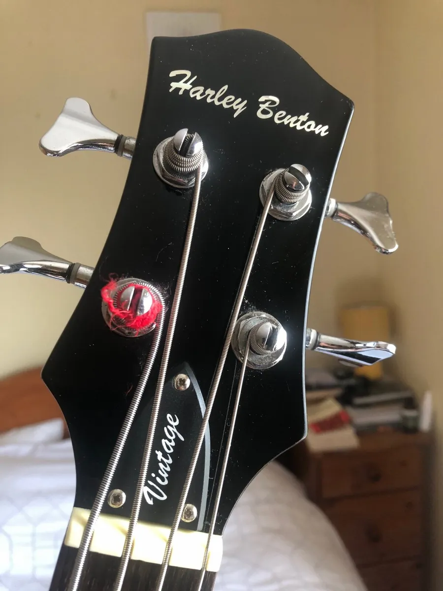 Customised Violin Bass plus Hard Case - Image 4