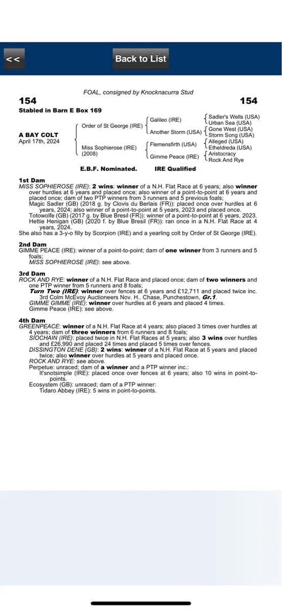 National hunt Flemensfirth Broodmare - Image 1