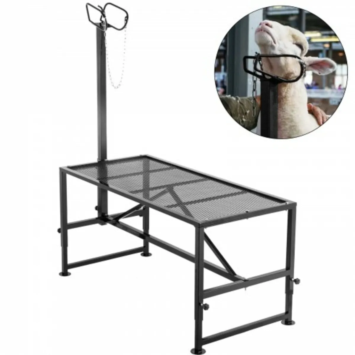 Livestock Stand 51x23 inches, Trimming Stand with - Image 1