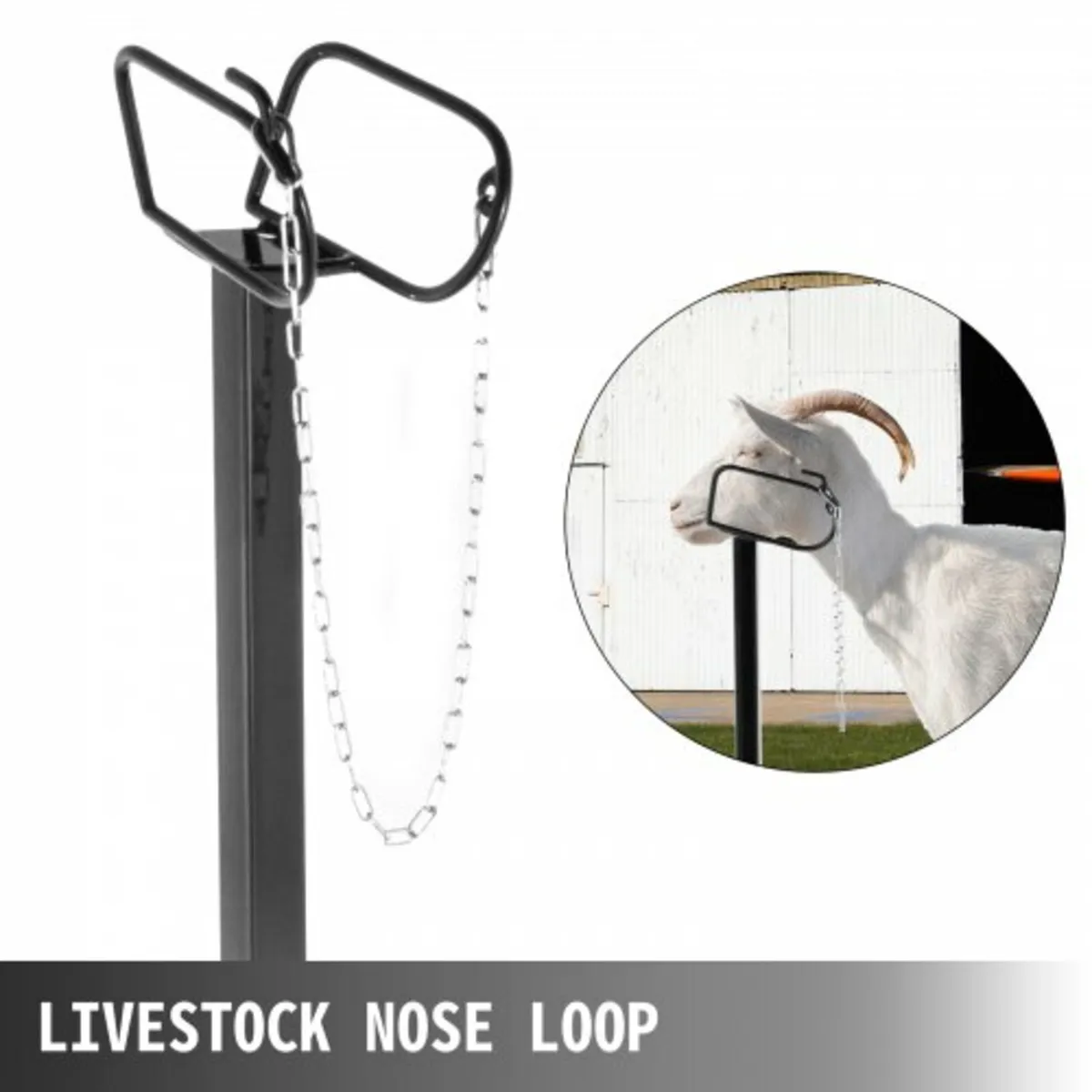 Livestock Stand 51x23 inches, Trimming Stand with - Image 2