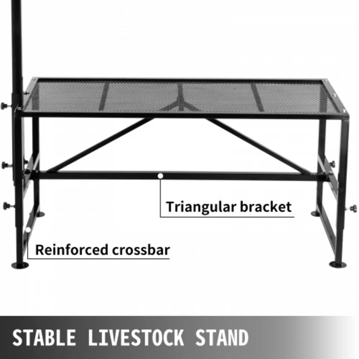 Livestock Stand 51x23 inches, Trimming Stand with - Image 4