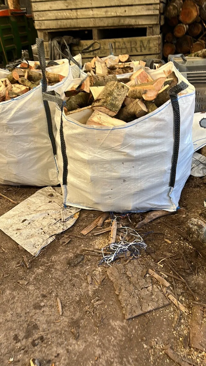 Firewood - Image 2