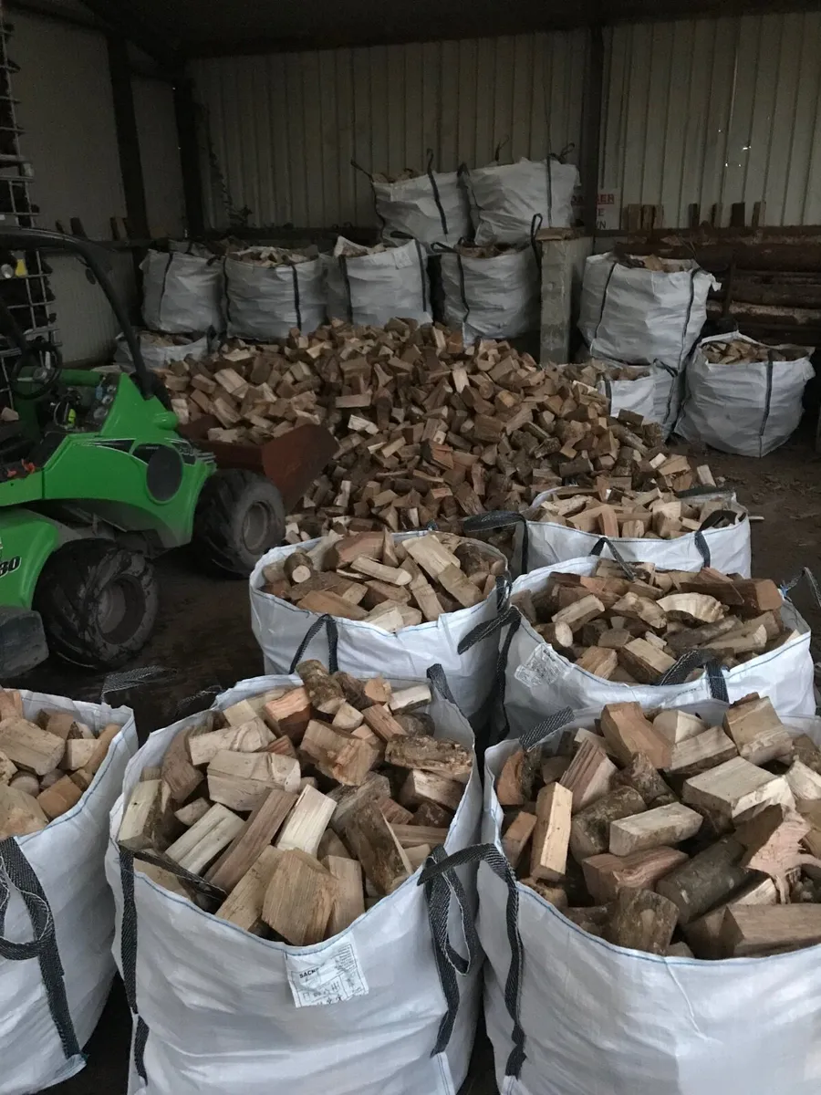 Firewood - Image 3