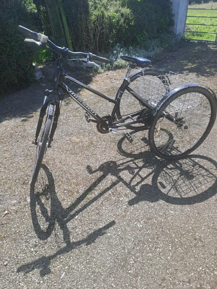 Tricycle - Image 4