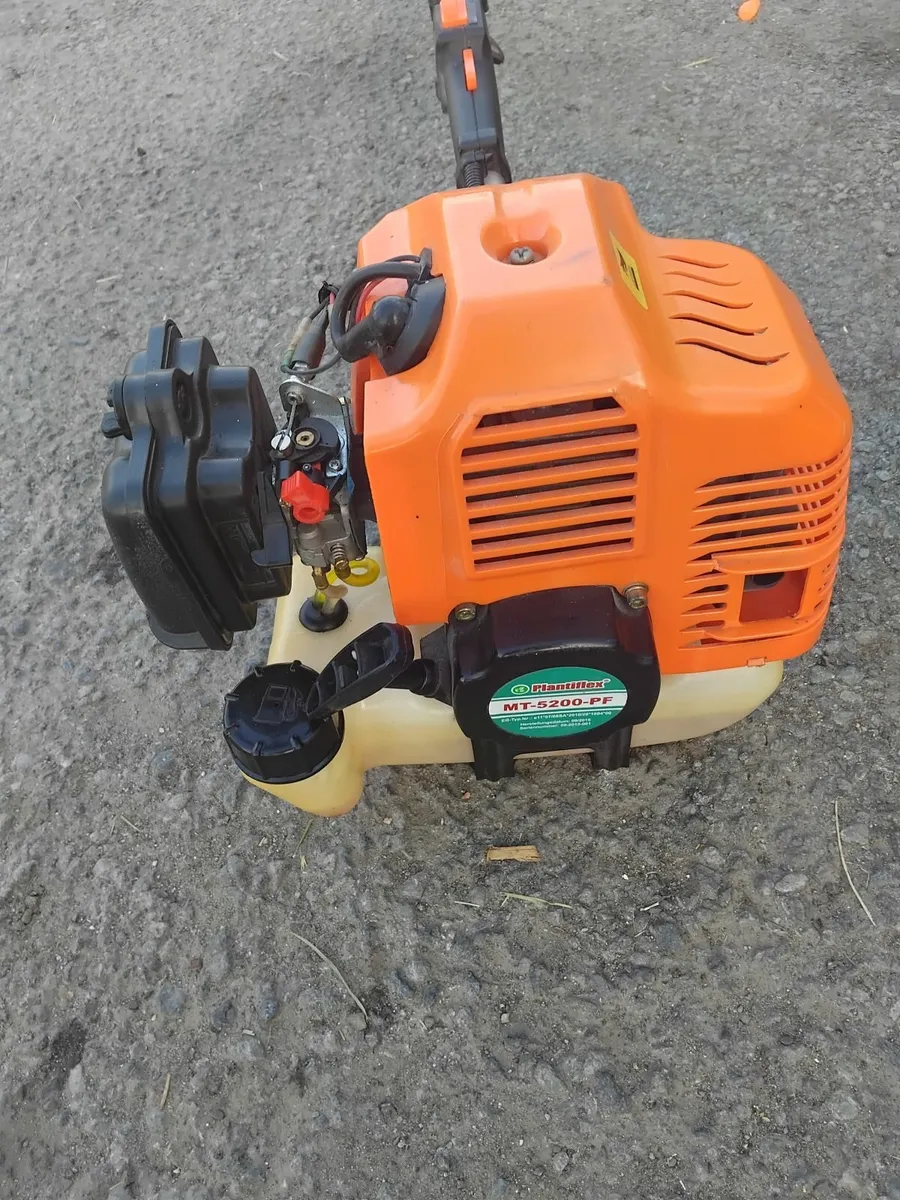 Grass strummers running very well priced - Image 2