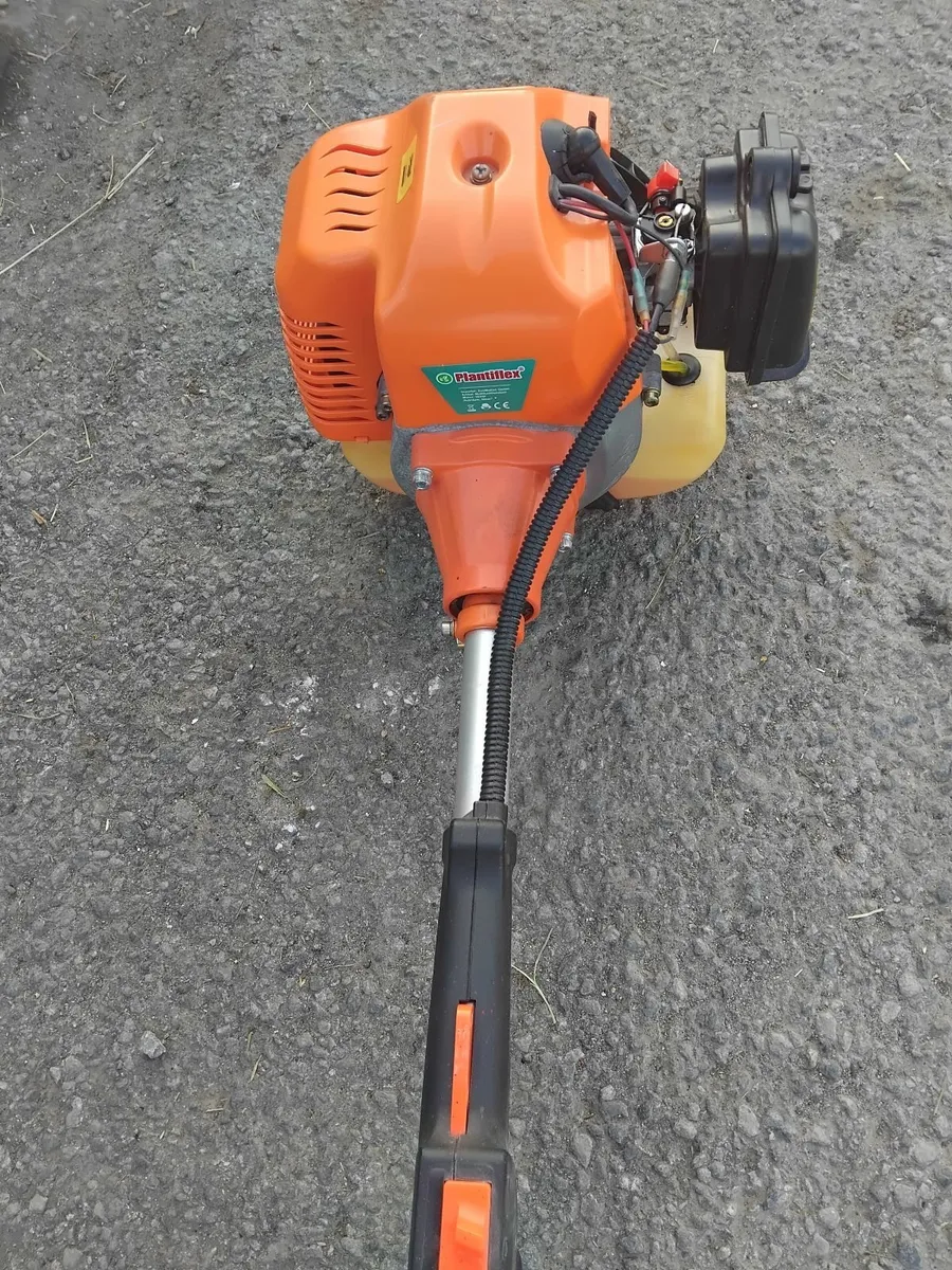 Grass strummers running very well priced - Image 3