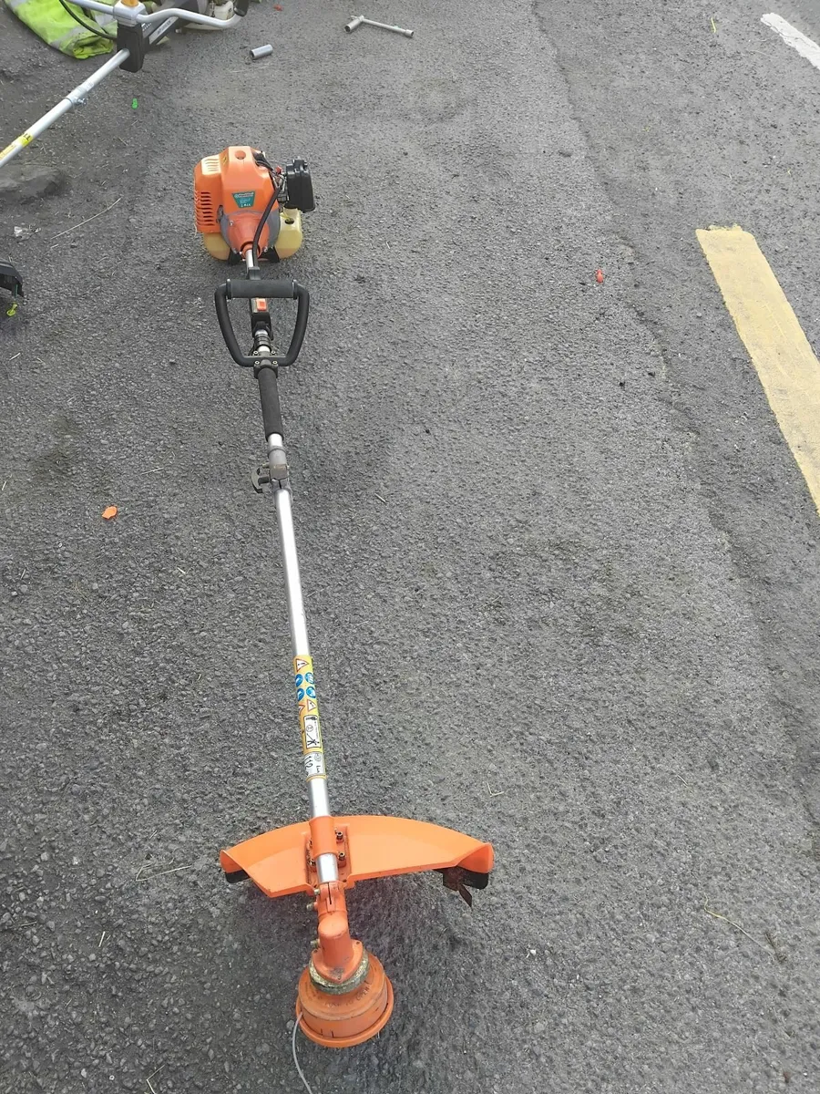 Grass strummers running very well priced - Image 4