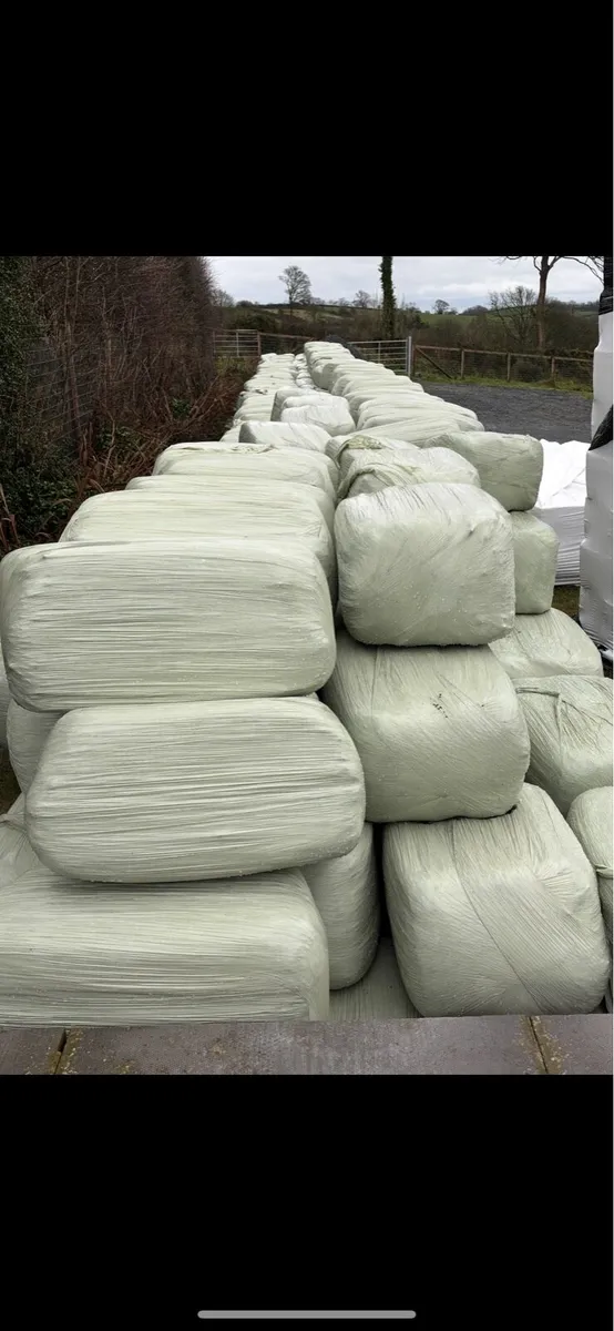Haylage For Sale