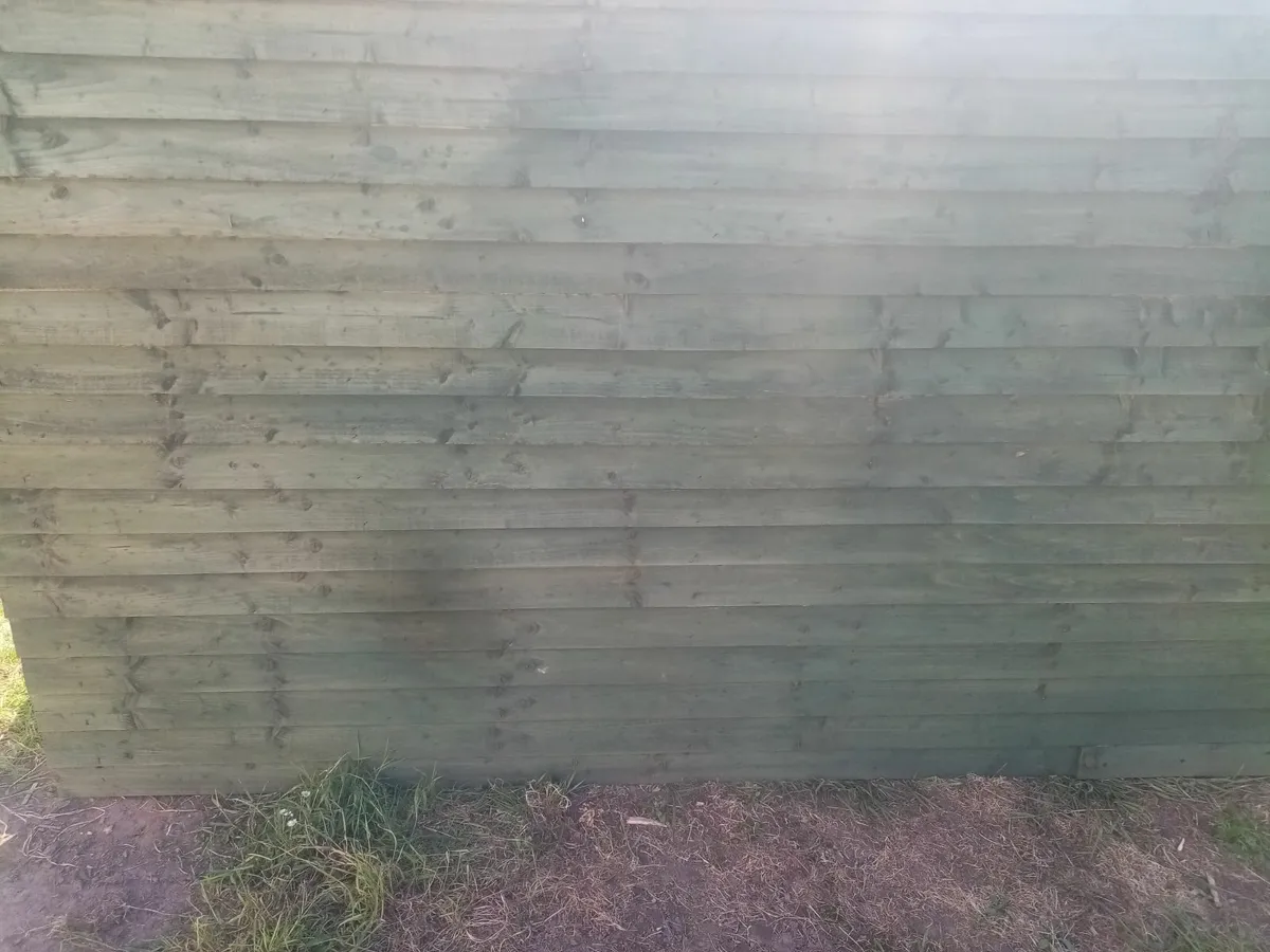 8ft Wide x 8ft  Long Garden Shed. - Image 4