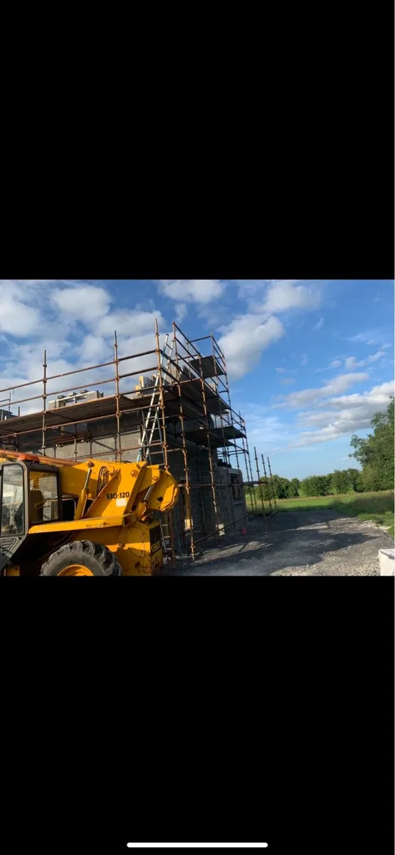 Scaffold - Image 3
