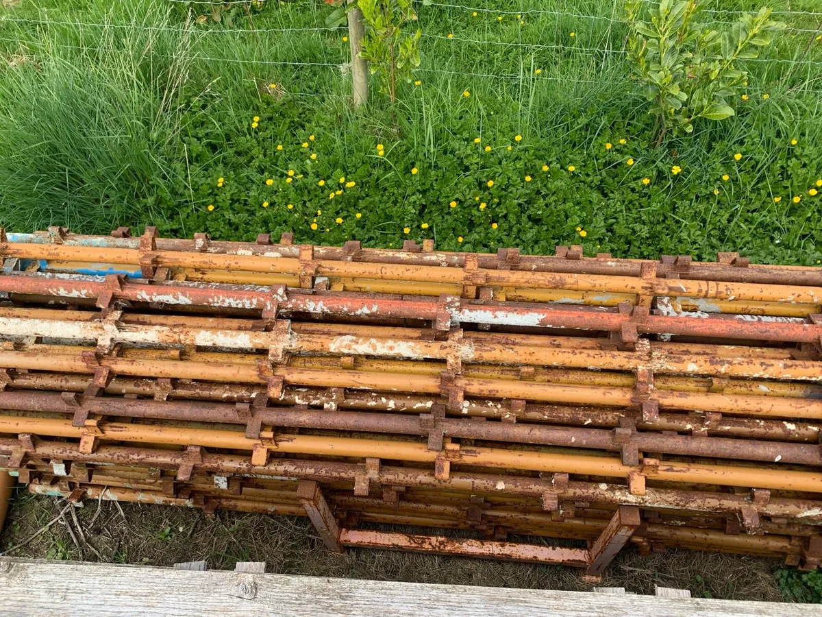 Scaffold - Image 4