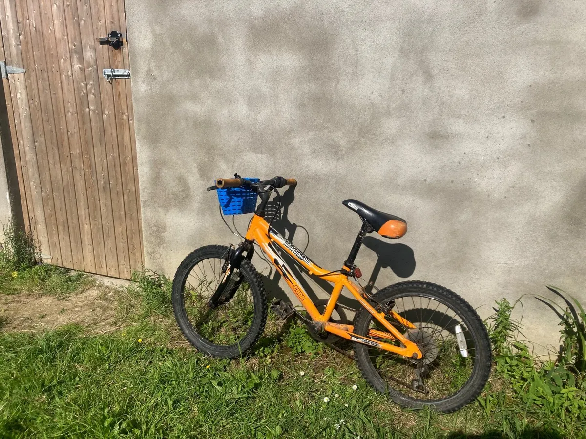 Free Bike 20 inch - Image 1
