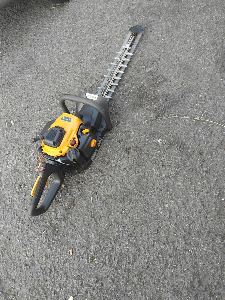 Tiga hedge strummers running very well - Image 3