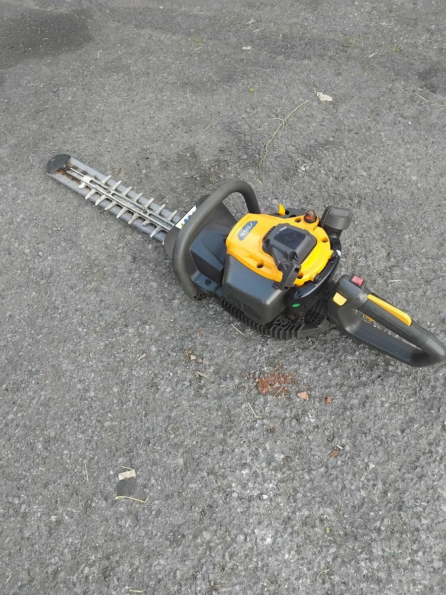 Tiga hedge strummers running very well - Image 1