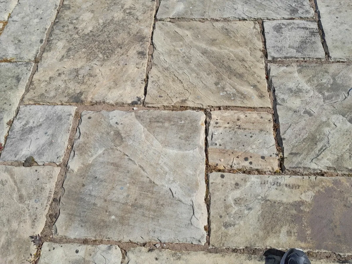 Sandstone Paving Slabs - Image 3