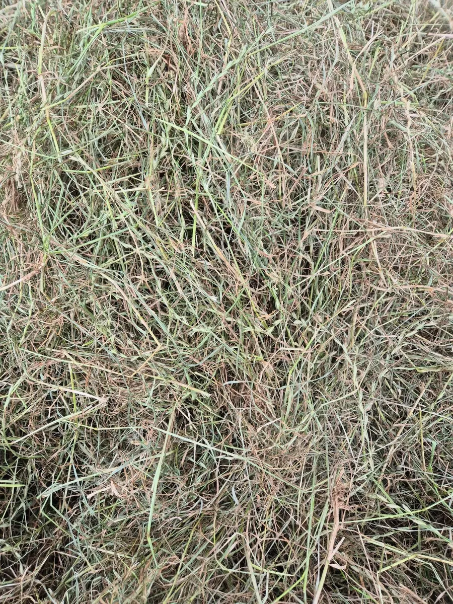 Haylage - Image 2