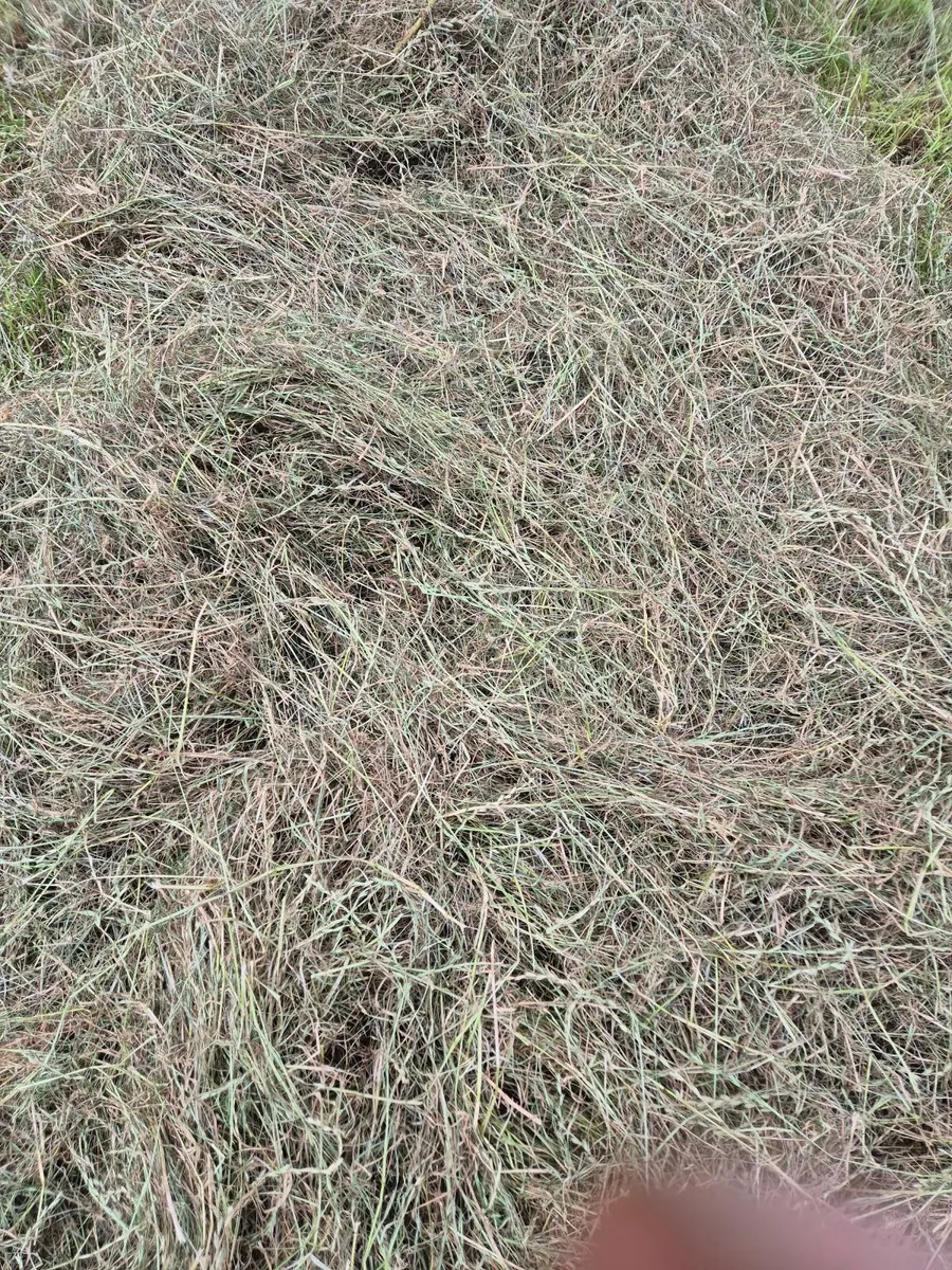 Haylage - Image 3