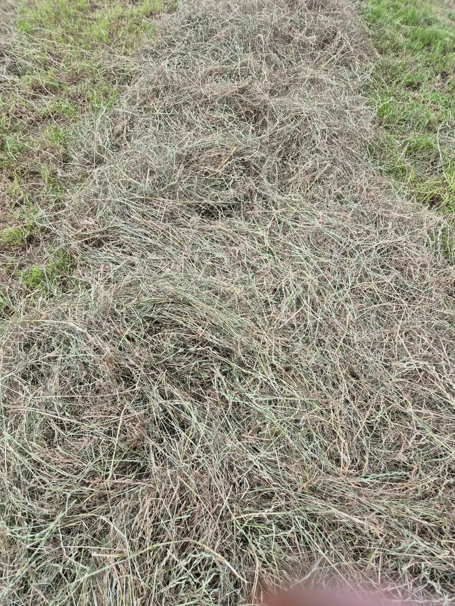 Haylage - Image 4