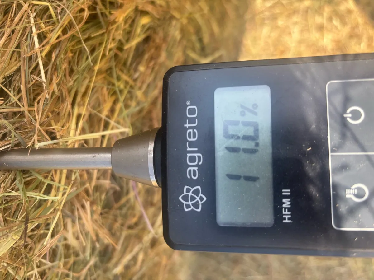 2025 hay - Image 2
