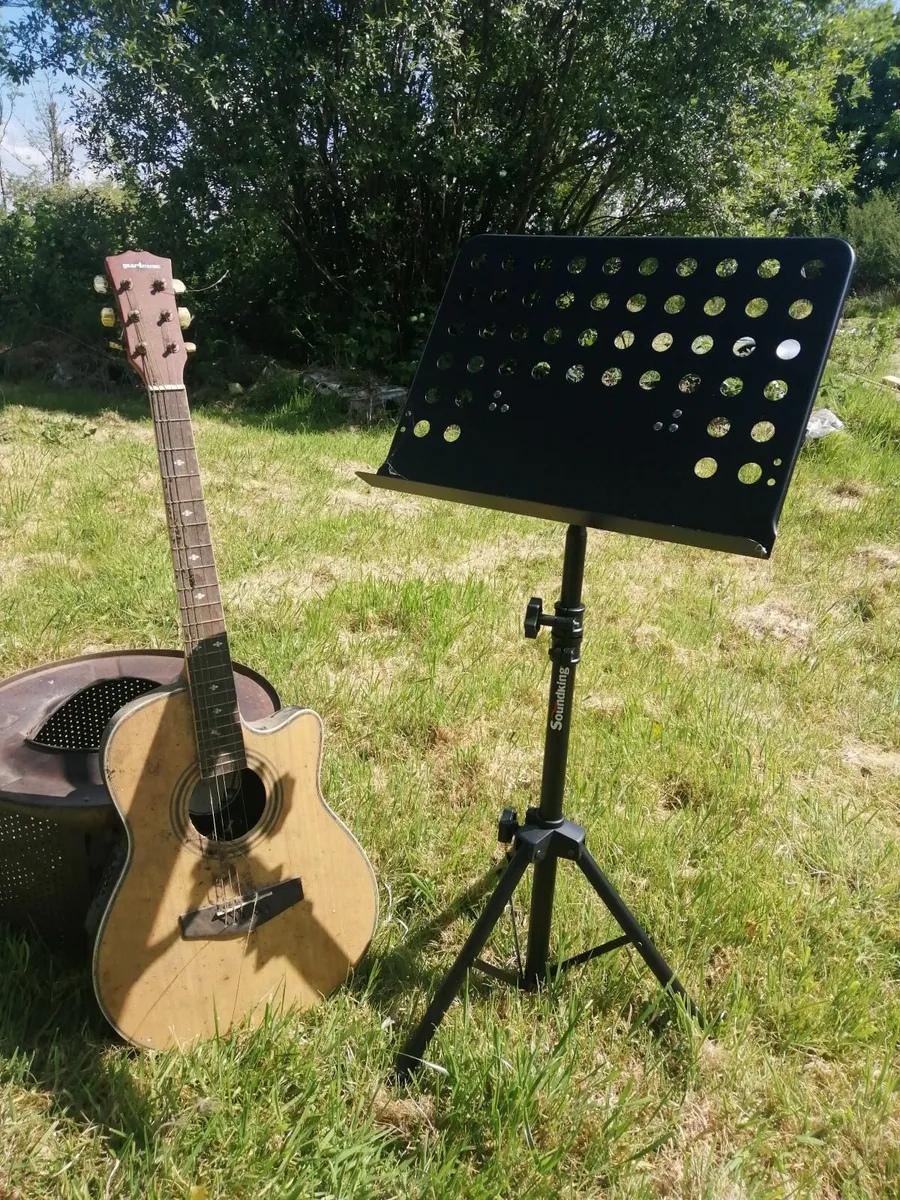 Electric Acoustic Guitar