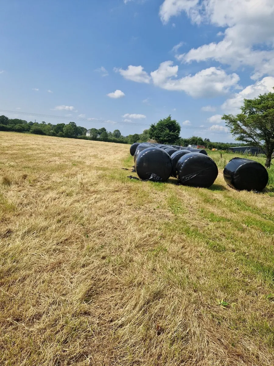 Organic silage