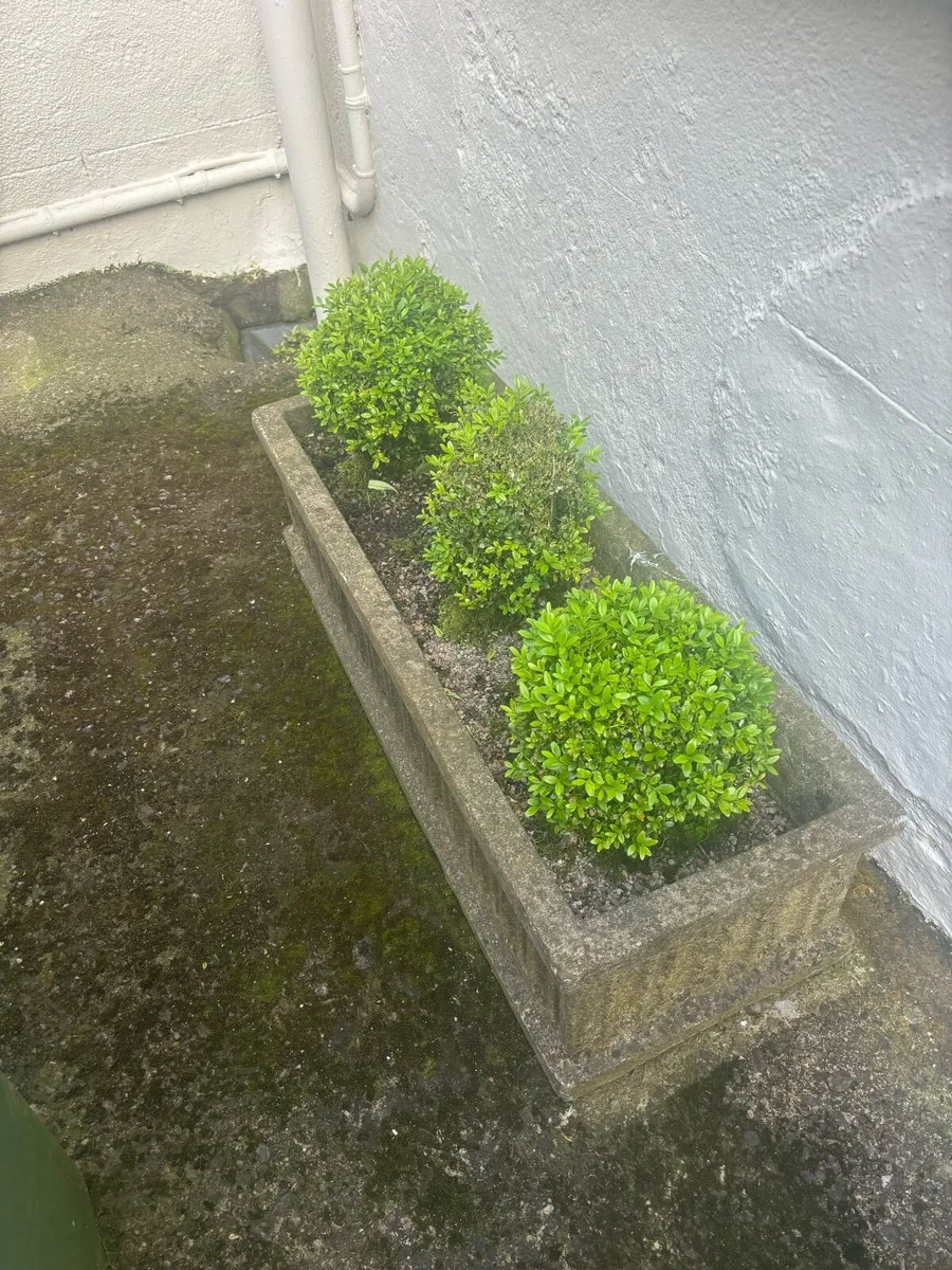 Stone Planters - Image 1