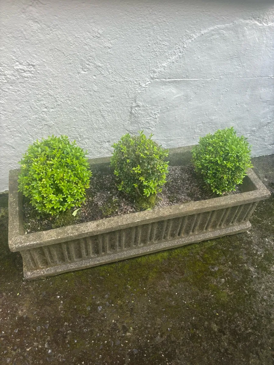 Stone Planters - Image 2
