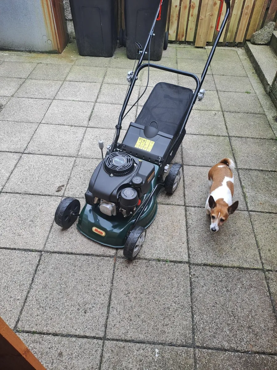 Petrol lawnmower - Image 3