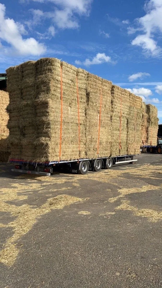 Wanted Big square bales of hay