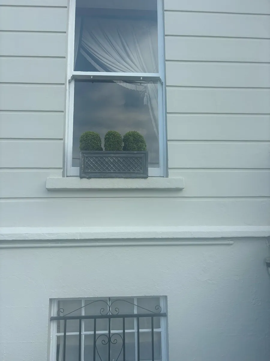 Window boxes with plants - Image 1
