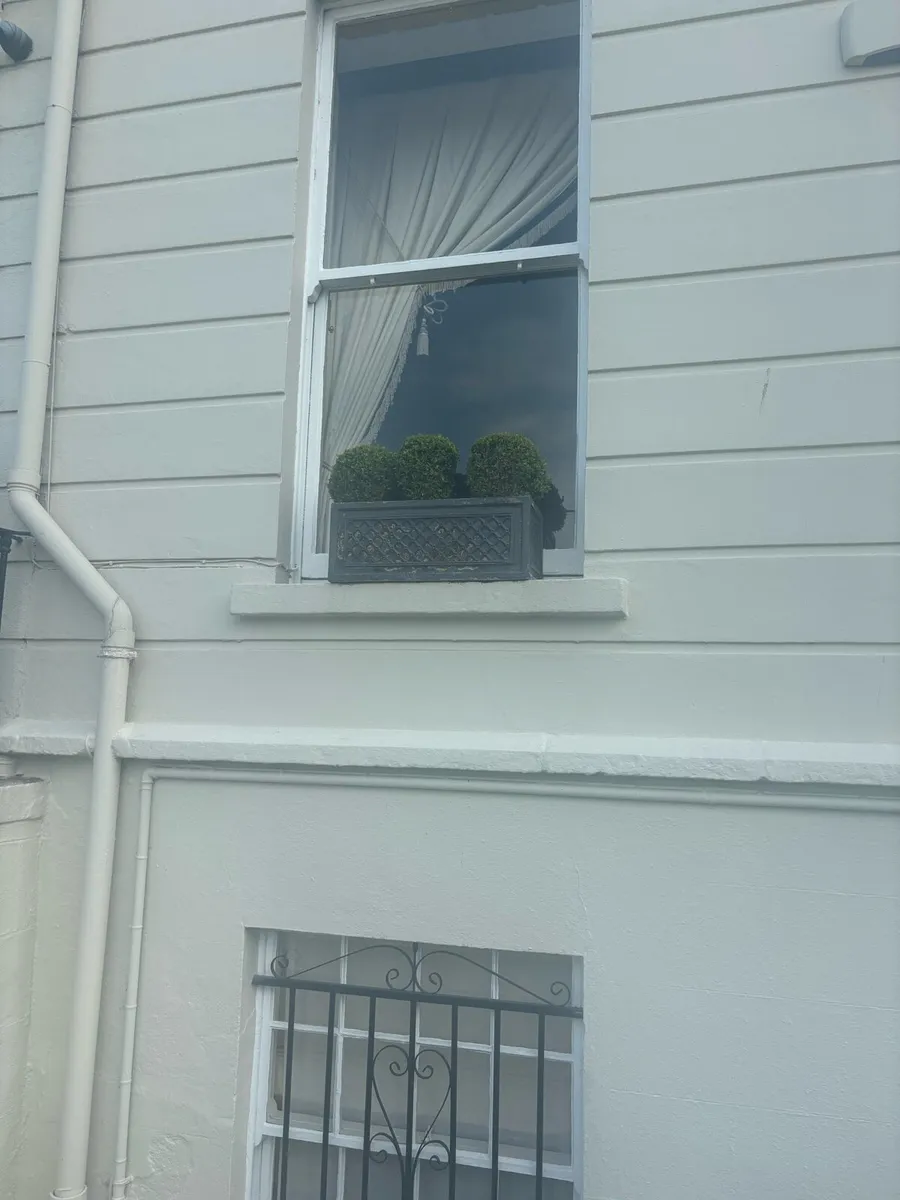 Window boxes with plants - Image 2