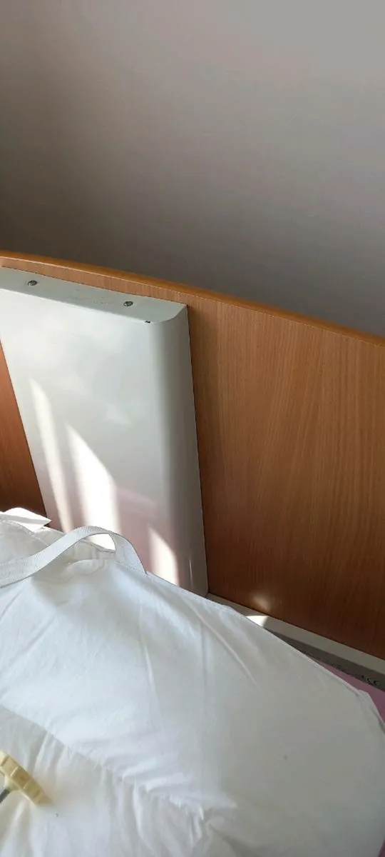 Electric Bed - Image 1
