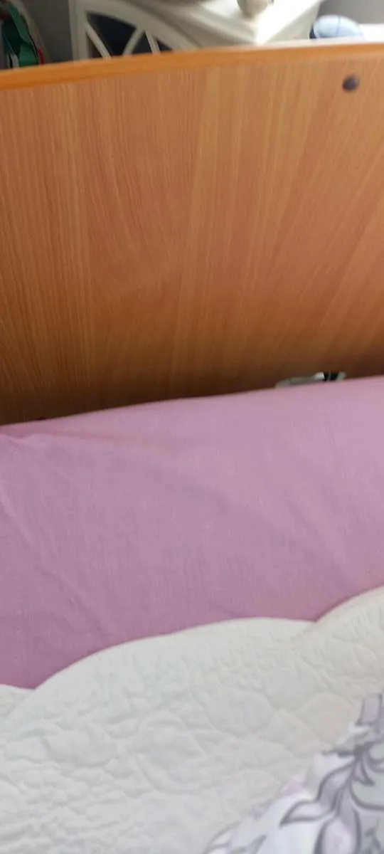 Electric Bed - Image 2