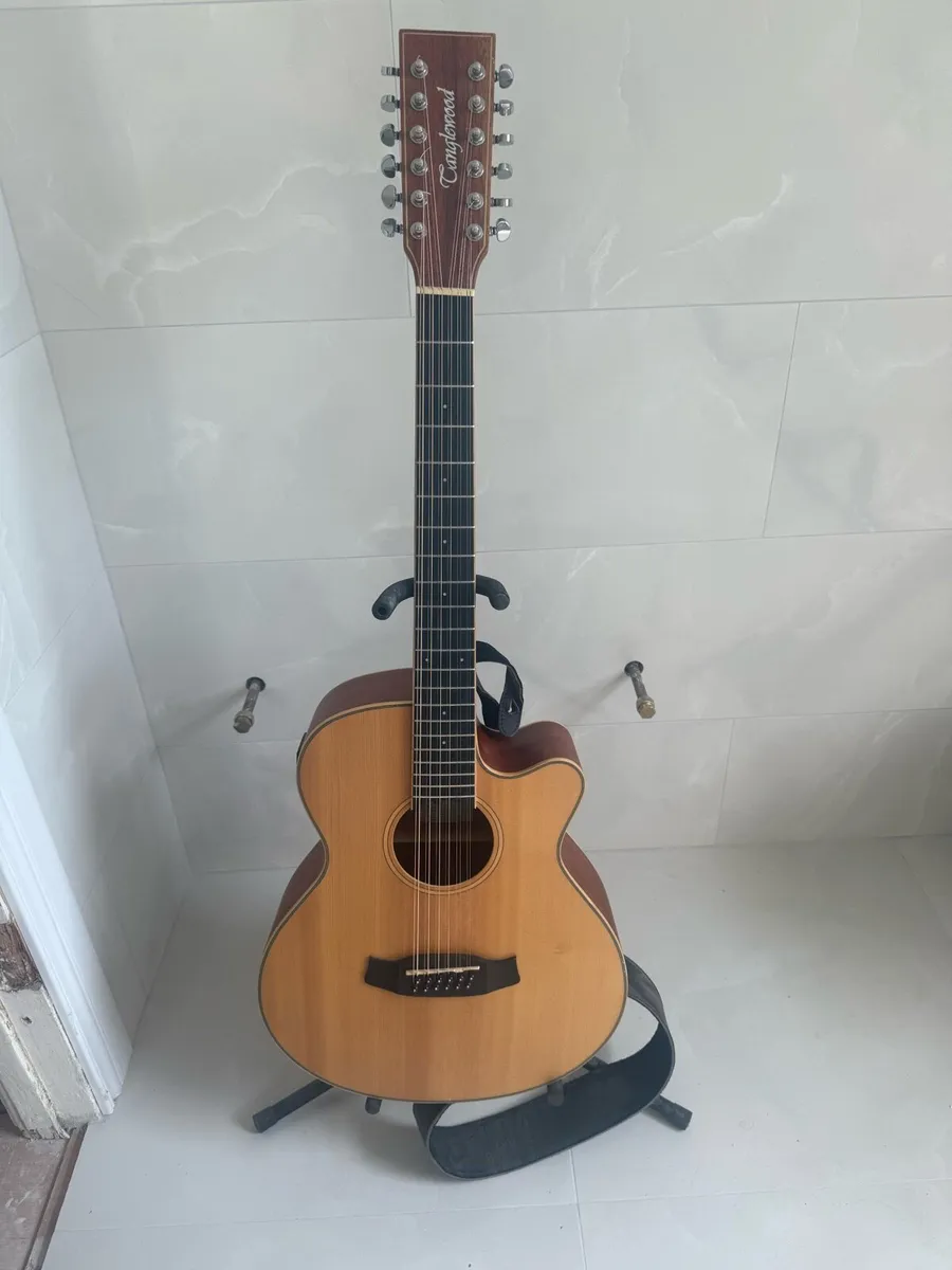 Tangle Wood 12 string (electric acoustic) - Image 1