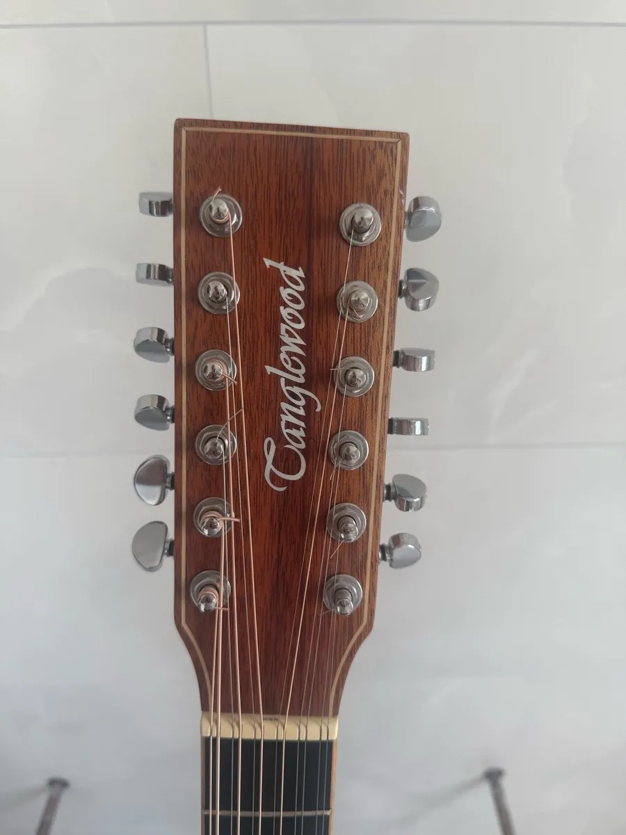 Tangle Wood 12 string (electric acoustic) - Image 3