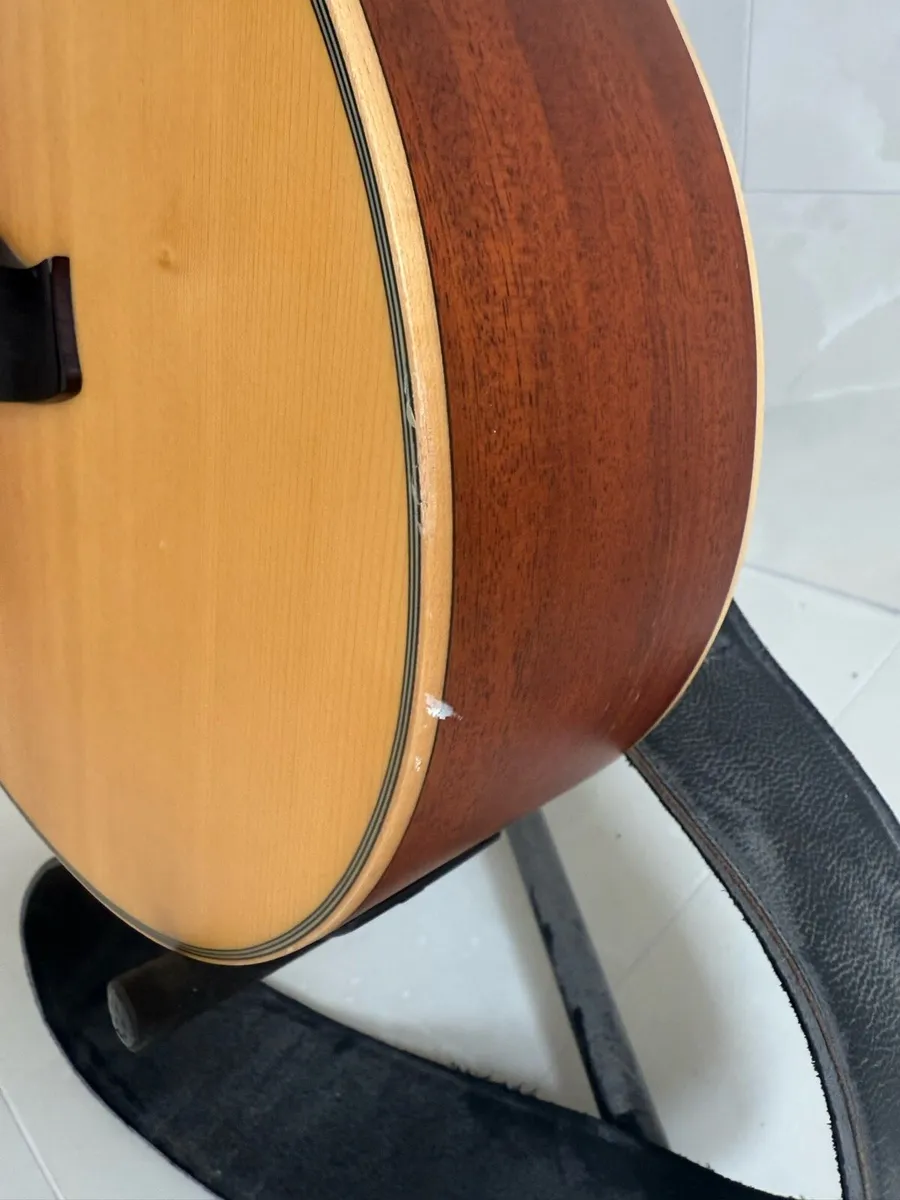 Tangle Wood 12 string (electric acoustic) - Image 4