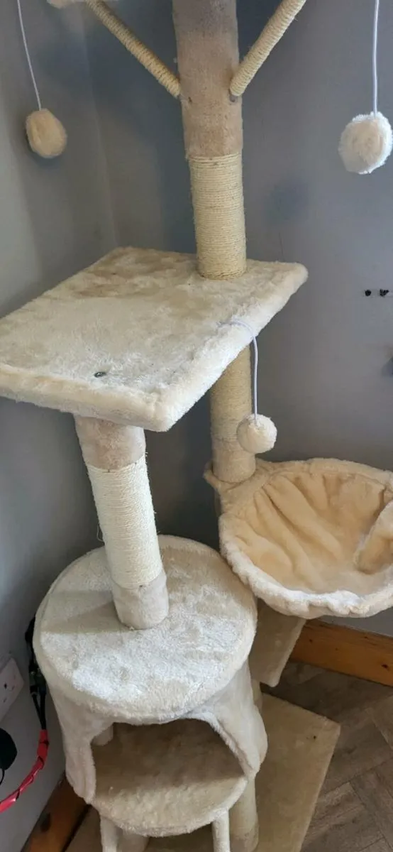 Cat Play Stand - Image 1
