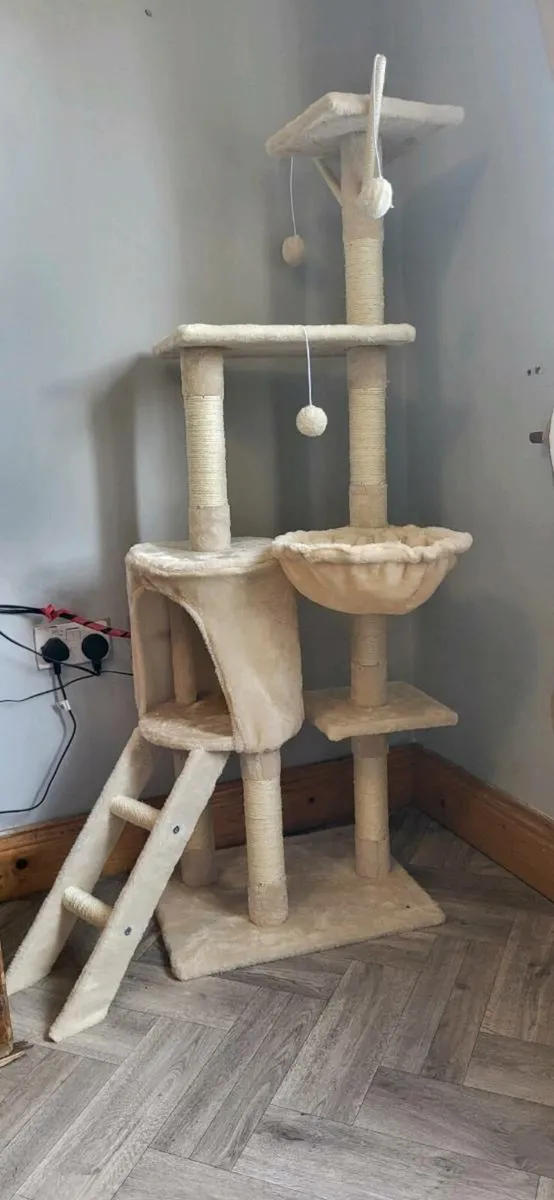 Cat Play Stand - Image 2