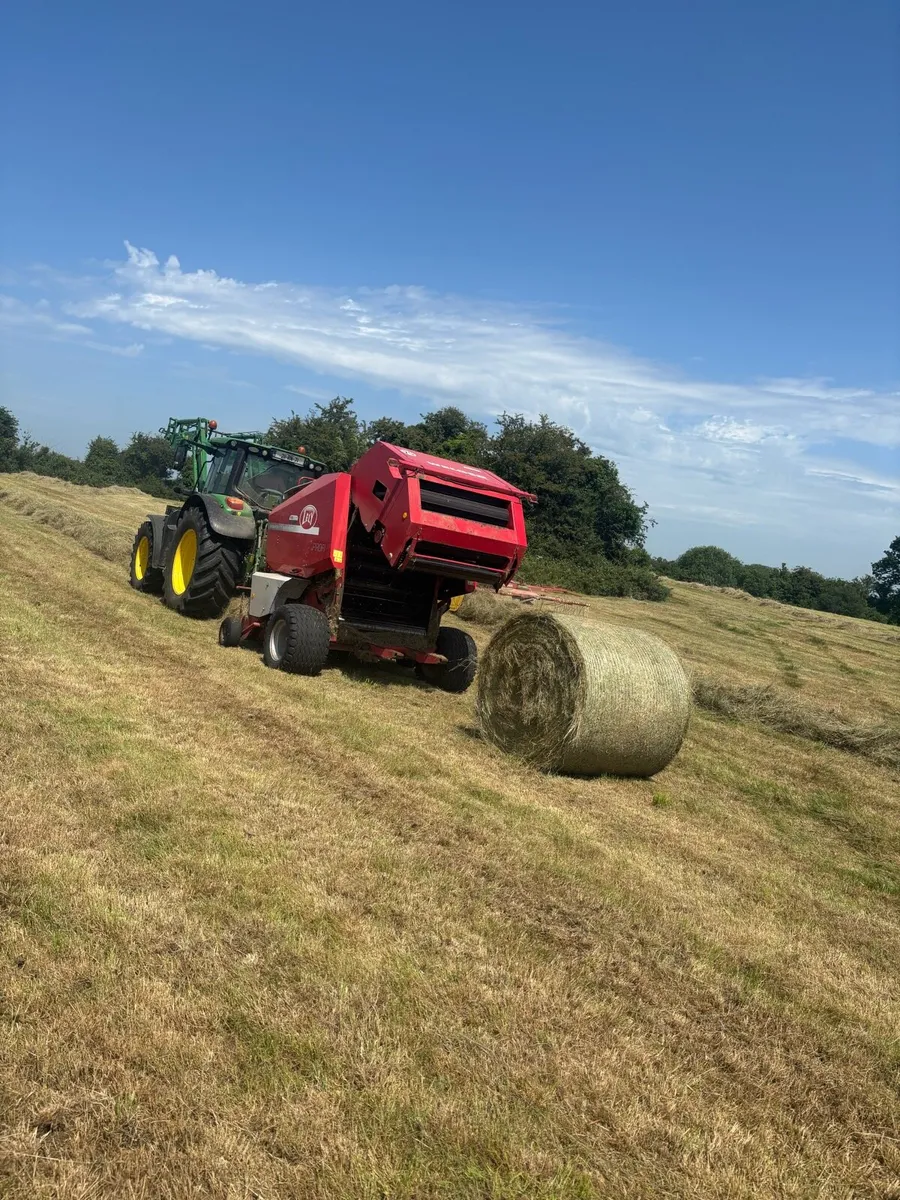 2025 top quality hay - Image 4