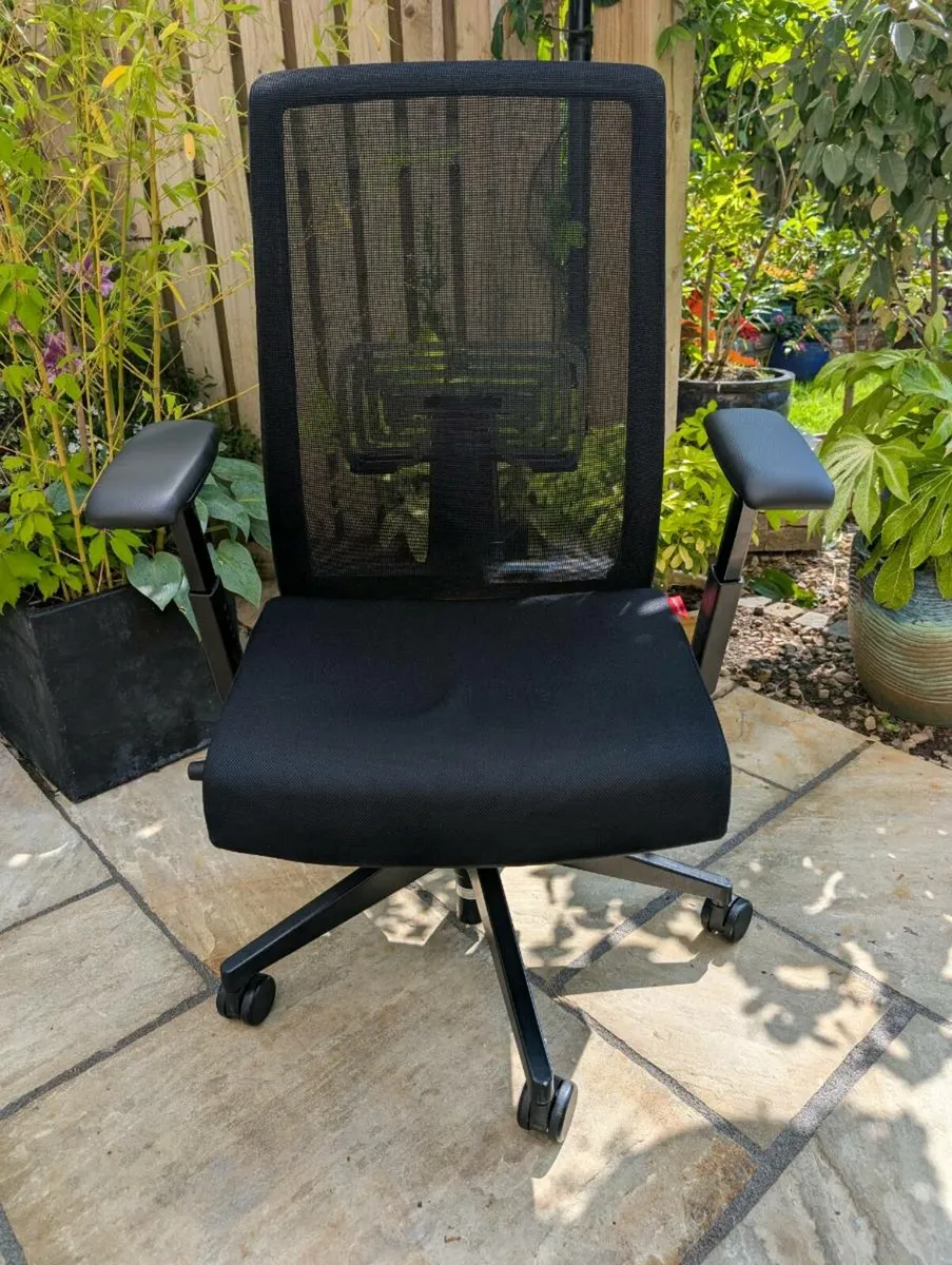 Ergonomic office chair - Image 1