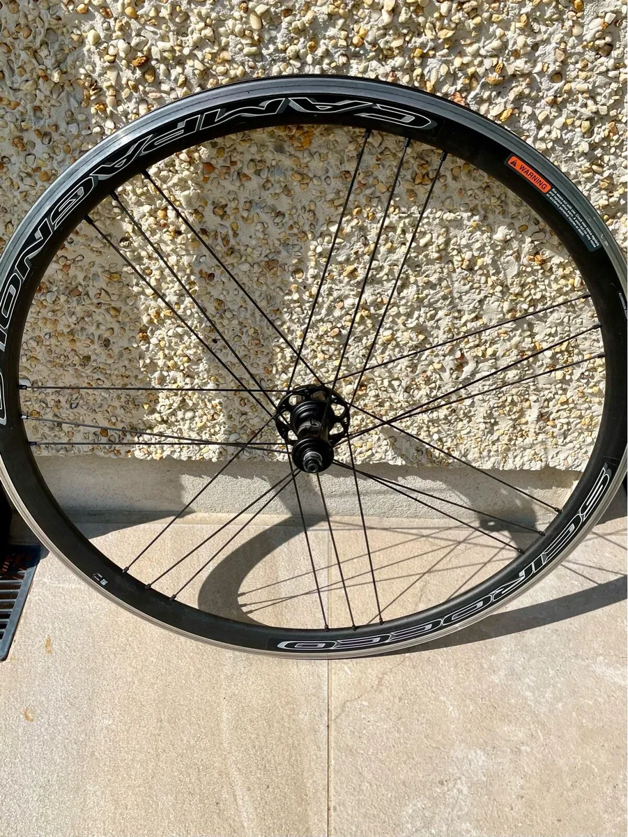 Campagnolo Scirocco C17 Rear Wheel 28" | Clincher - Image 2