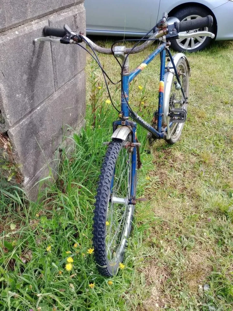 Bicycles - Image 4