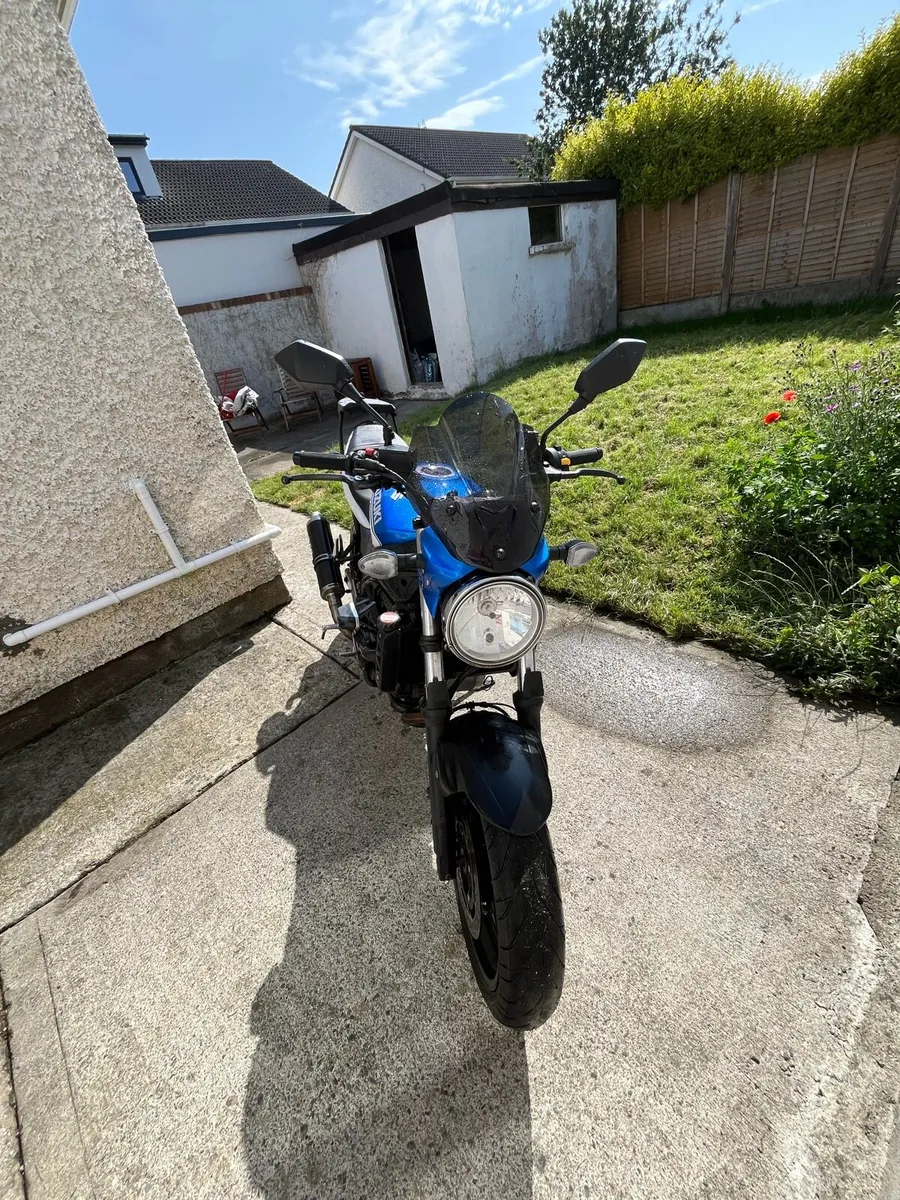 Suzuki SV 650 - Image 3