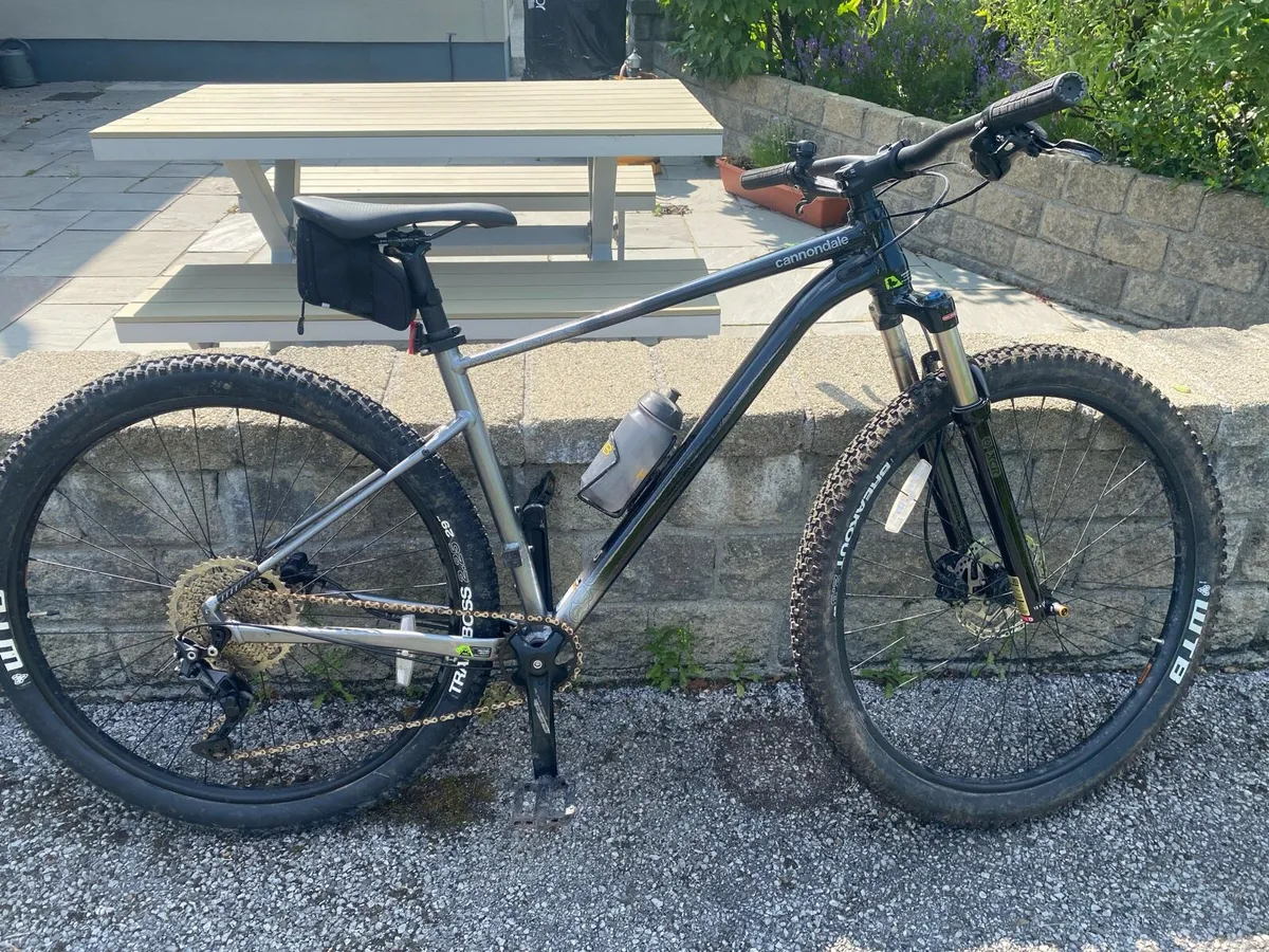 Bike- men’s xl - Image 1