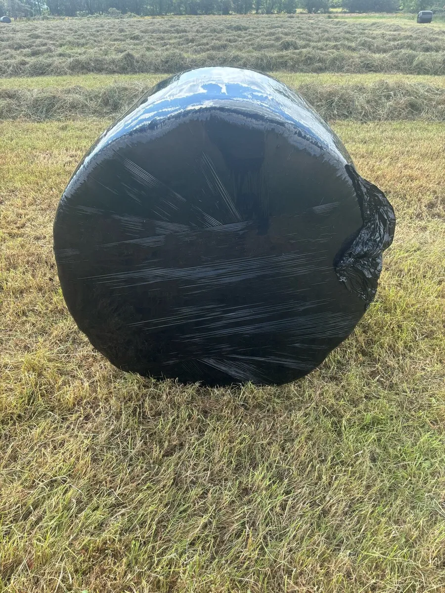 Haylage - Image 1